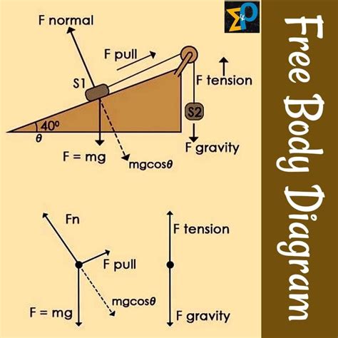 An Easy Guide to Understand Free Body Diagrams in Physics Science
