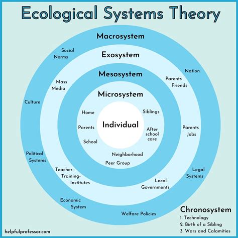 An Ecological View of AA