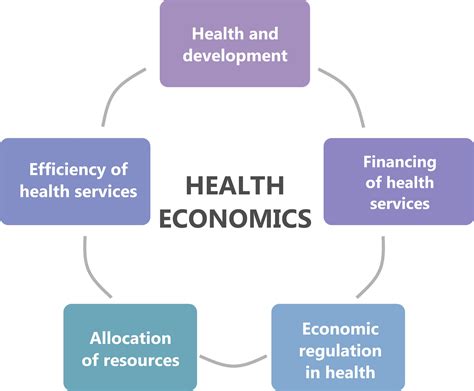 An Economic Classification of Health Need