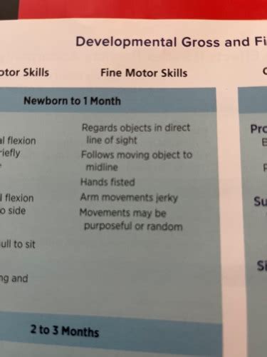 An Example Of A Fine Motor Skill Is Quizlet