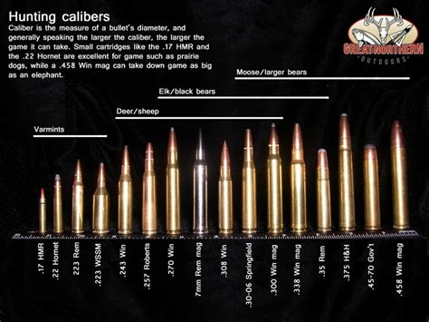 An Excellent Game Hunting Cartridge Ammo Caliber Chart Hunting rifles