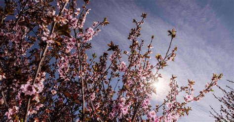 An Expert Reveals How to Combat the Spring Blues EXCLUSIVE 