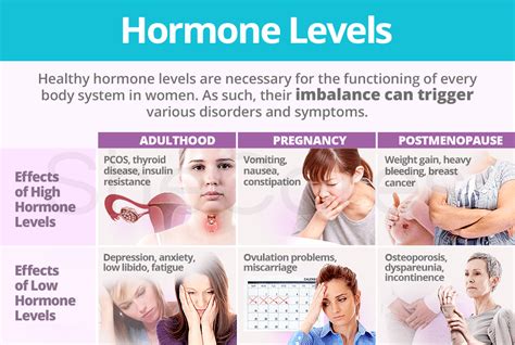 An In-Depth Look At Your Hormone Options