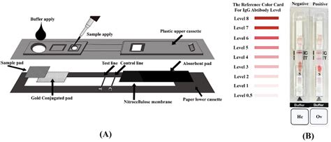 An Innovative Test for