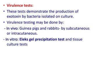 An Intracutaneous Test for the Virulence of Diphtheria Bacilli