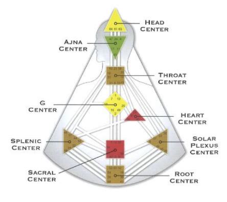 An Intro to Human Design The Nine Centers - interior creature