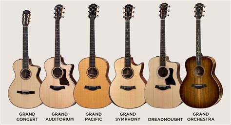 An Introduction To Taylor Acoustic Guitar Body Shapes