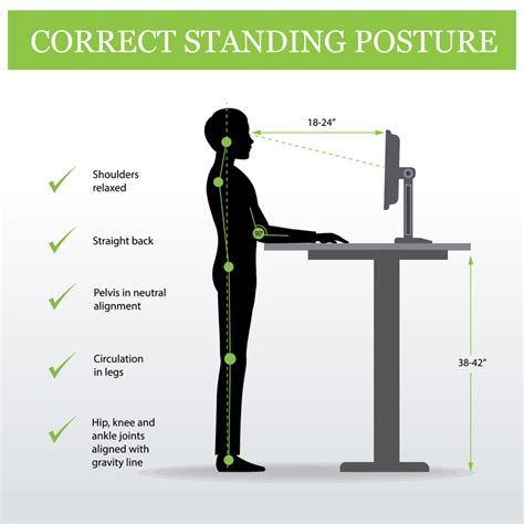 An Introduction to Ergonomic Techniques for Postural and Manual ...