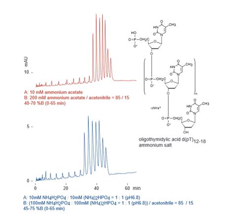 An Introduction to Imtakt HPLC Columns