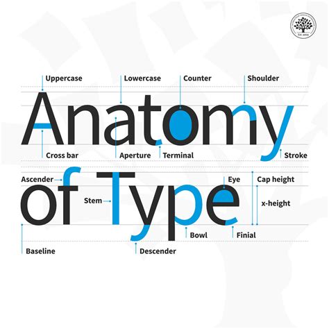 An Introduction to Typeface Anatomy