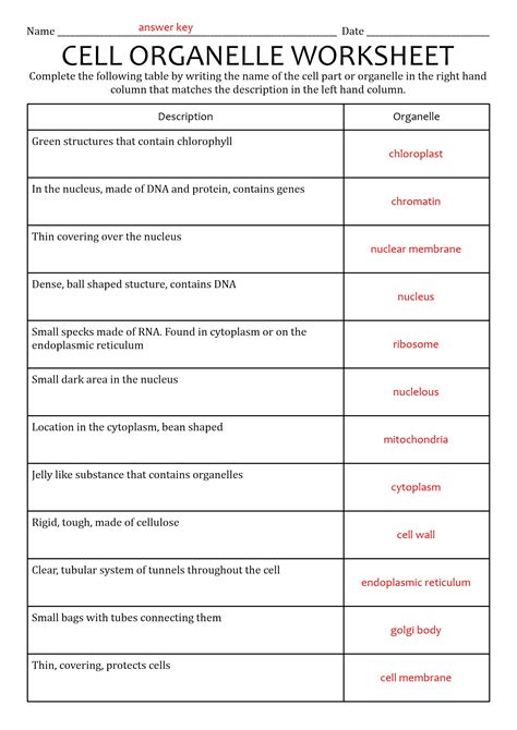 An Organelle With A View Answer Key