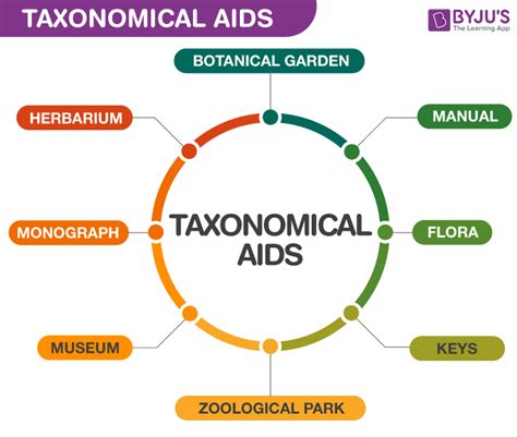 An Overview and Types of Taxonomical Aids with its uses - BYJU