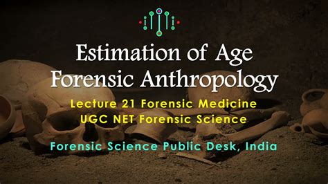 An Overview of Age Estimation in Forensic Anthro