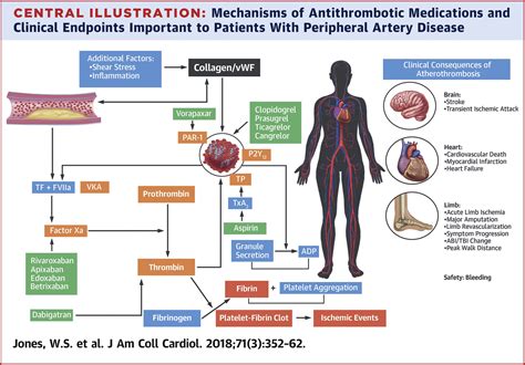 An Overview of Antithrombic Therapy