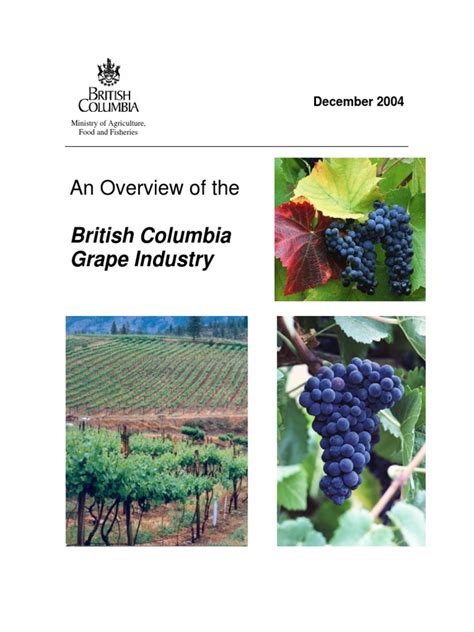 An Overview of the British Columbia Grape Industry