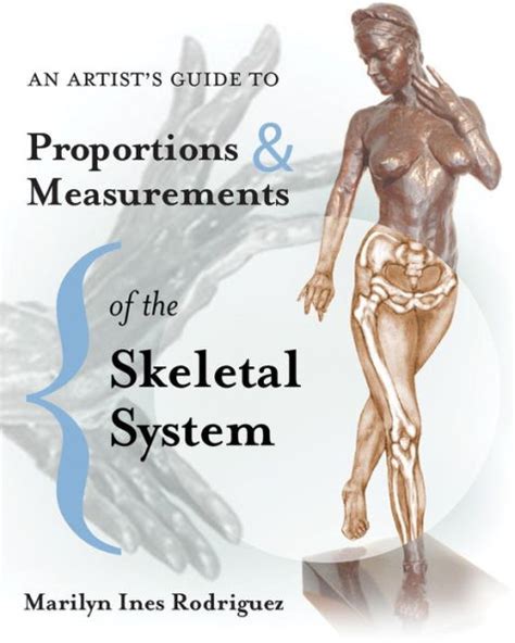 An artists guide to proportions measurements of the skeletal system. - Gambia senegal insight guide gambia senegal.