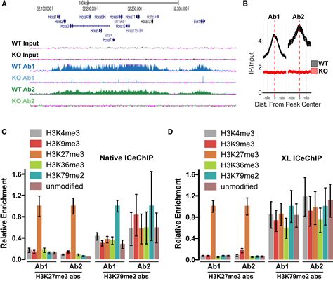 An assessment of histone-modification antibody quality