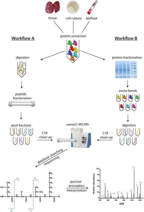 An automated proteomic data analysis workflow for mass …