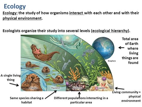 An ecology of Bodies