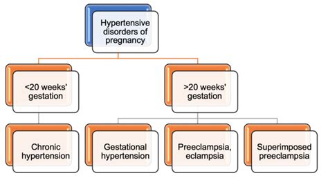 An epidemic of hypertensive disorders of pregnancy