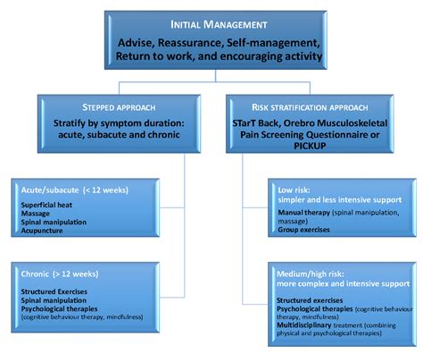 An evidence-based approach to the management of low back pain …