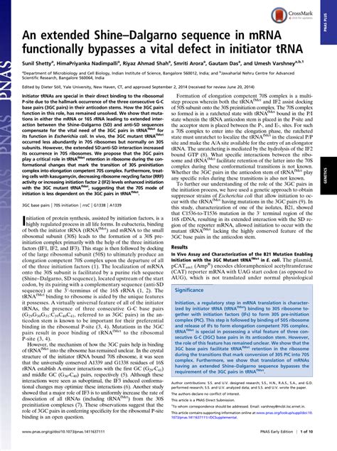 An extended ShineDalgarno sequence in mRNA functionally bypasses a