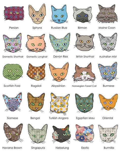 An identification guide to cat breeds. - Wolfgang frommel in seinen briefen an die eltern 1920-1959.
