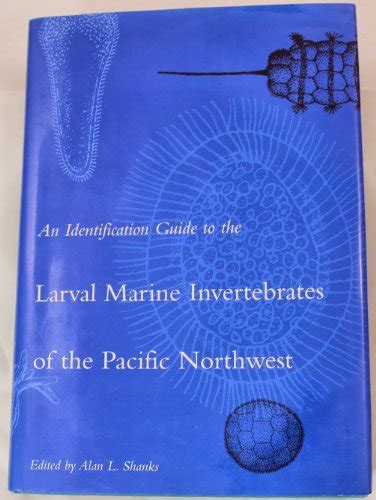 An identification guide to the larval marine invertebrates of the pacific northwest. - 2007 bentley bmw x3 repair manual free downloads.