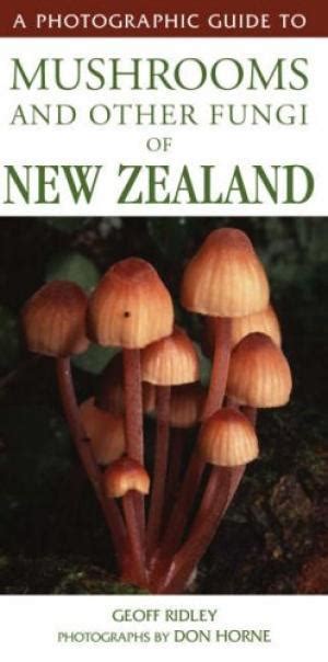 An illustrated guide to fungi on wood in new zealand. - Bmw e34 auto to manual conversion.