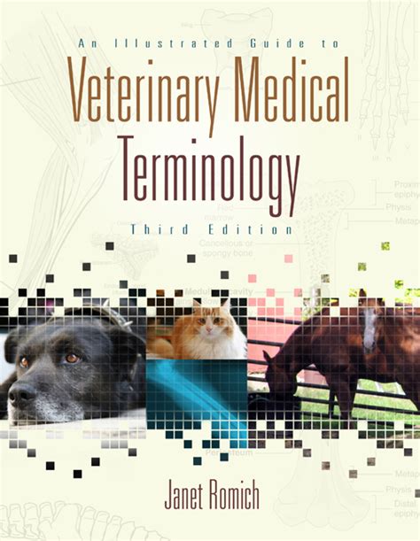 An illustrated guide to veterinary medical terminology 3rd edition by janet amundson romich. - Volvo penta wt gm efi diagnostic workshop manual.