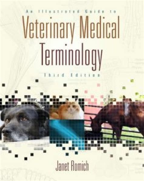 An illustrated guide to veterinary medical terminology by romich janet amundson 3rd third edition paperback. - 2002 toyota hilux owners manual 113485.