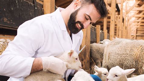 An integrated approach to controlling animal disease outbreaks in the GCC