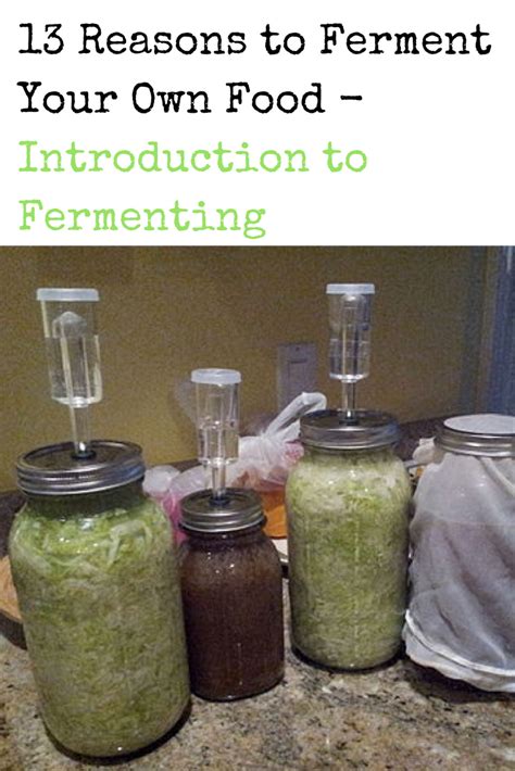 An introduction to fermentation pdf