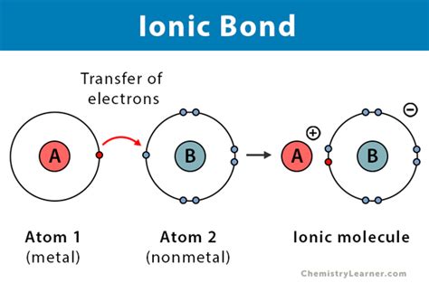 The ionic bond involves a transfer of electrons. The metal atom loses one or more electrons to form a positive ion (cation). The nonmetal atom gains one or more electrons to form a negative ion (anion). The attraction between these two oppositely charged ions is known as ionic bond. . 