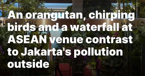 An orangutan, chirping birds and a waterfall at Indonesian venue contrast to the pollution outside