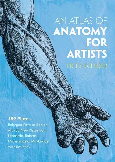Download An Atlas Of Anatomy For Artists By Fritz Schider