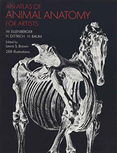 Full Download An Atlas Of Animal Anatomy For Artists By Wilhelm Ellenberger