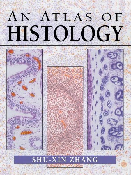 Full Download An Atlas Of Histology By Shuxin Zhang
