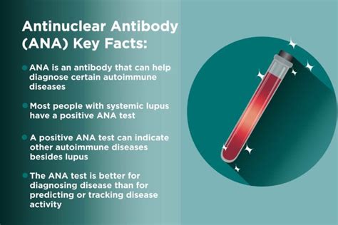 Rheumatology 57 years experience IFA better: For a screen the ifa is much better. It is the gold standard. The ANA choice is not a screening test and should not be …. 