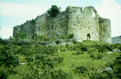 Anacik Halı ve Koltuk Yıkama