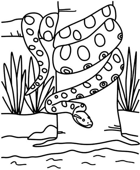 Anaconda Coloring Pages Free Coloring Pages