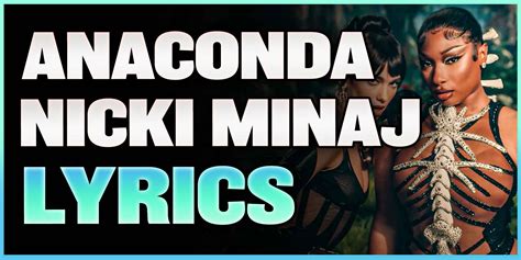 Anaconda lyrics song. Things To Know About Anaconda lyrics song. 