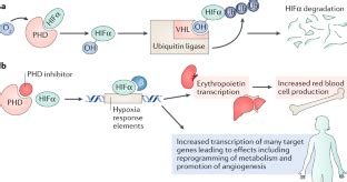 Anaemia Nature Reviews Nephrology