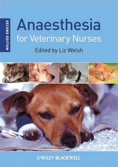 Full Download Anaesthesia For Veterinary Nurses By Elizabeth Welsh