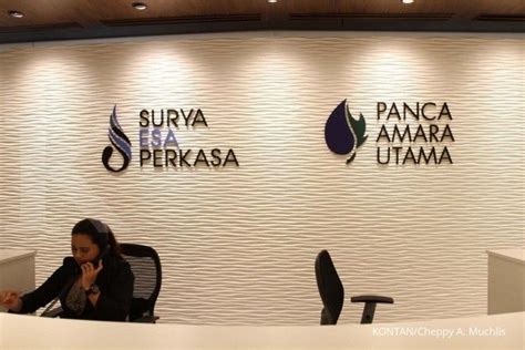 Anak Usaha Surya Esa Perkasa (ESSA) Lakukan Pemeliharaan …