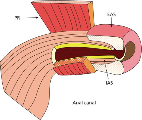 Anal'. Things To Know About Anal'. 