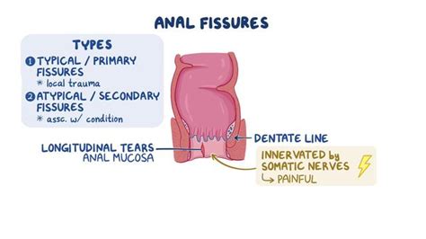 Anal Facial Onlyfans Leak