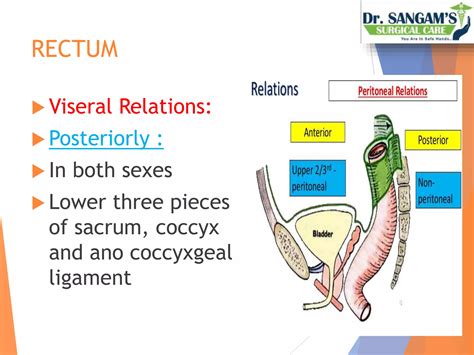 Anal sex and feces in rectum. .  ...