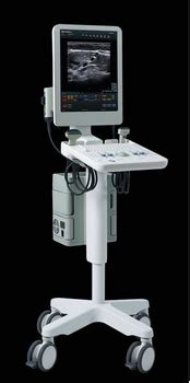 Analogic ultrasound flex focus 400 users manual. - Dimensión de la empresa y órganos de representación.