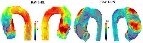 Analysis Of 4D Results: Understanding the Importance of Football Results in Sports Analysis image 1